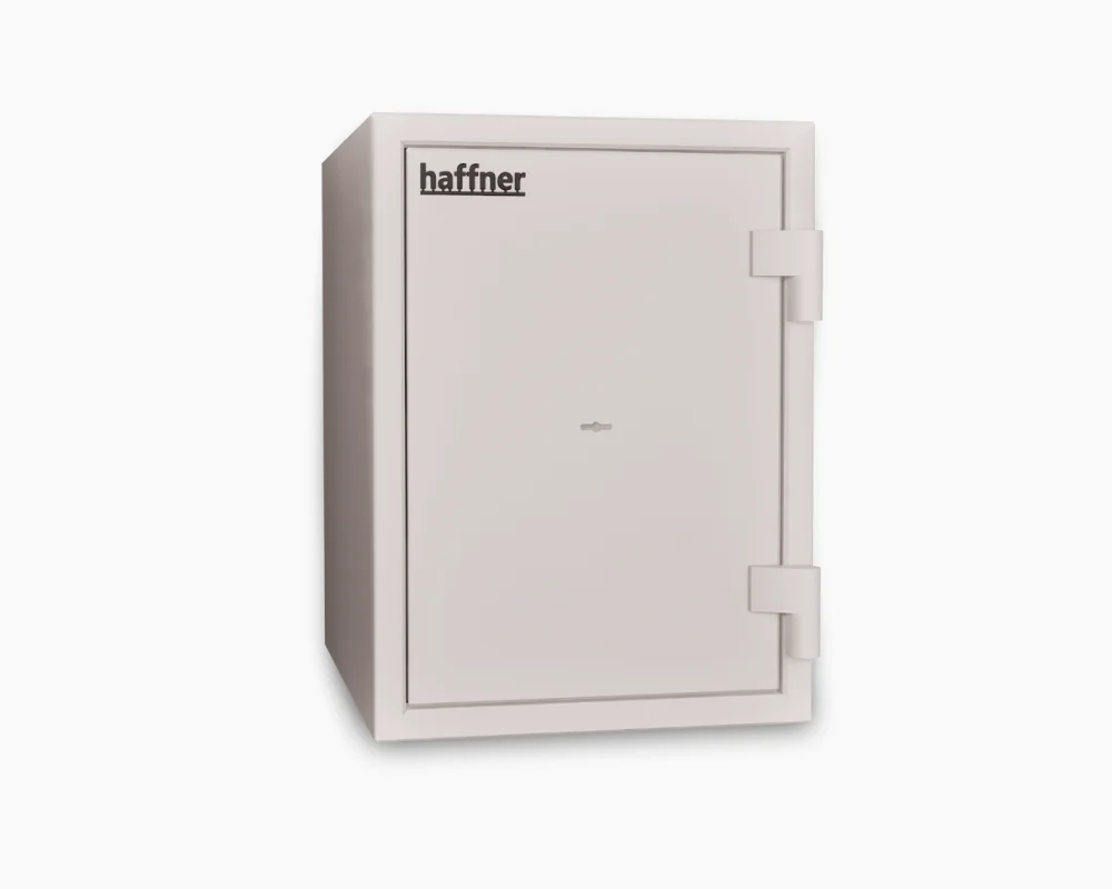 Coffre-fort Fichet Bauche Newton S2 30 litres Coffre-fort Fichet Bauche Newton S2 30 litres