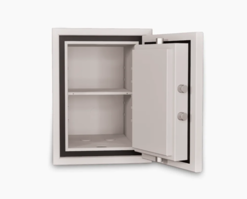 Coffre-fort Fichet Bauche Newton S2 30 litres Coffre-fort Fichet Bauche Newton S2 30 litres